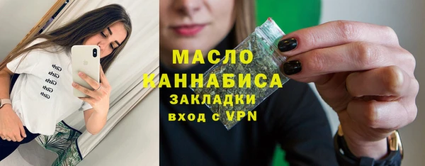 индика Медногорск