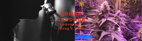 дмт Магас