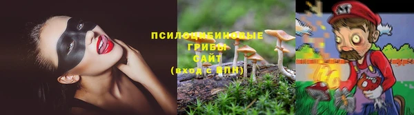 дмт Магас