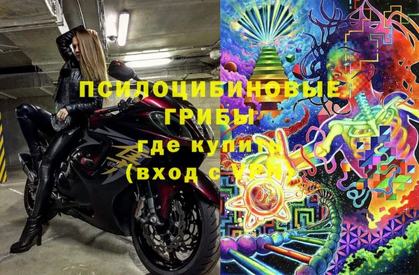 индика Медногорск