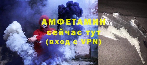 индика Медногорск