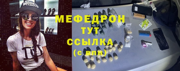 индика Медногорск