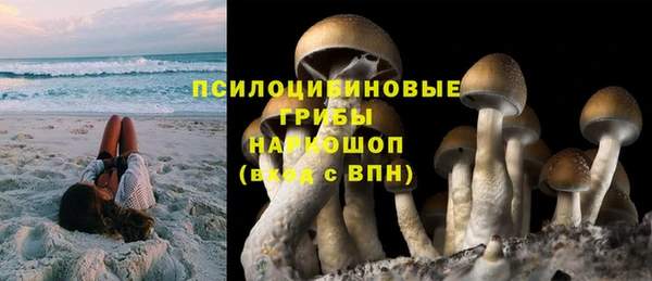 дмт Магас