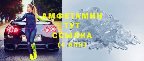 гидра Рославль